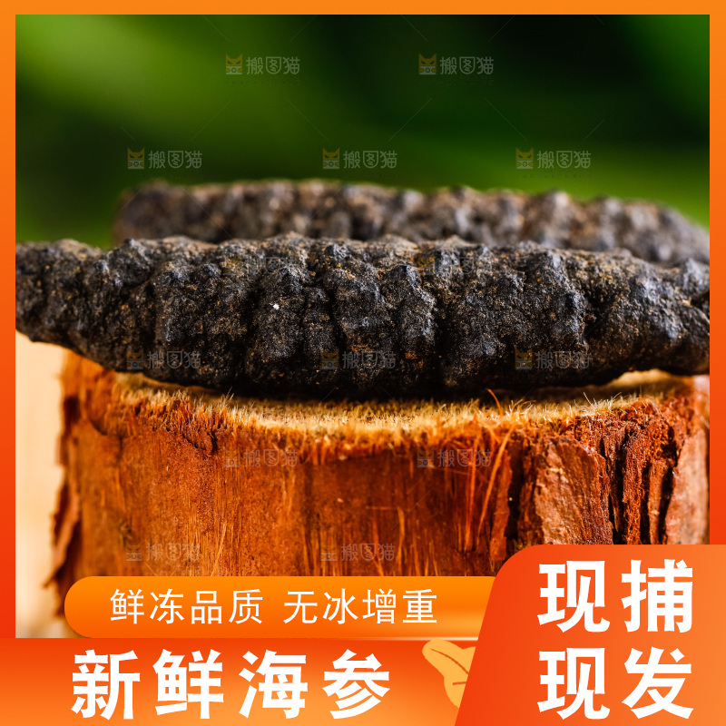 木头上摆放着海参