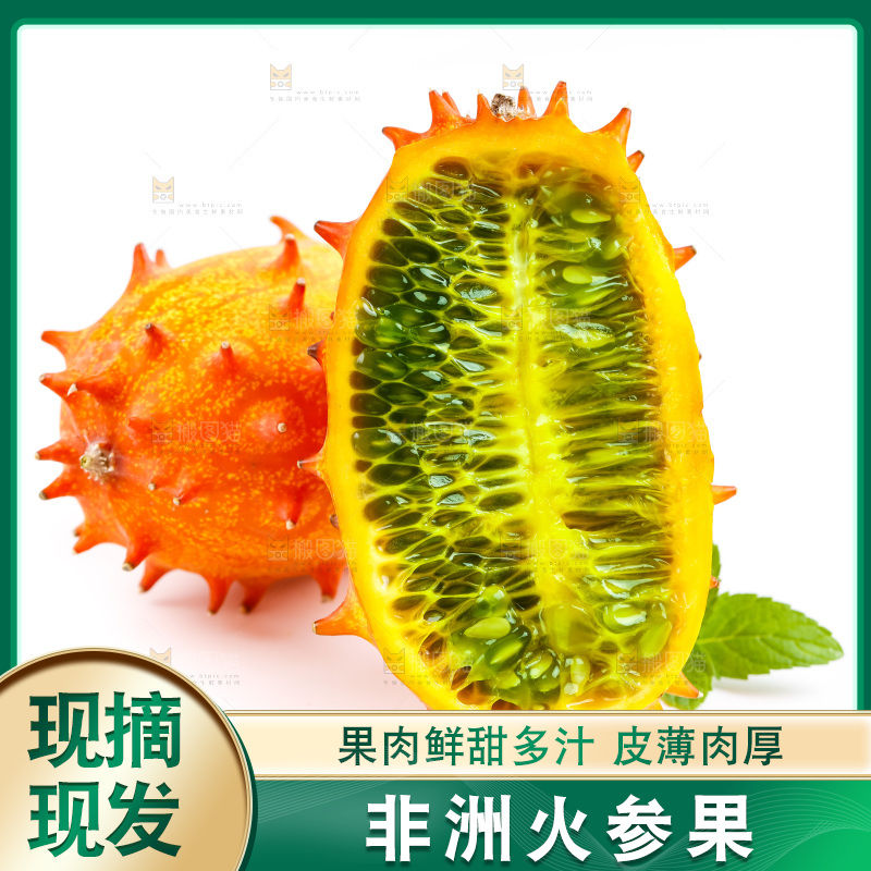 白底上的刺角瓜