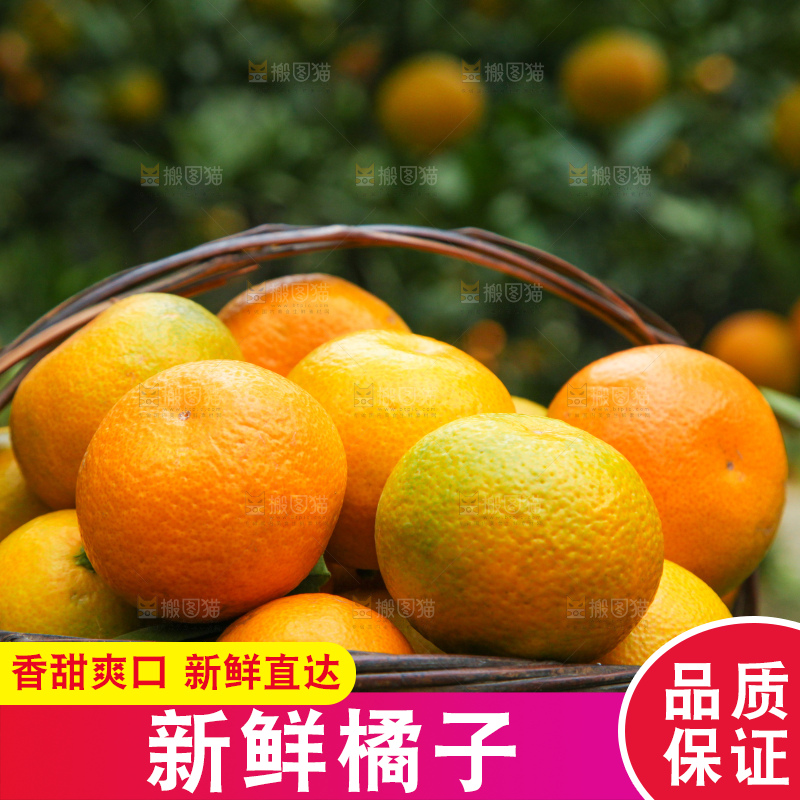 篮子里装着橘子