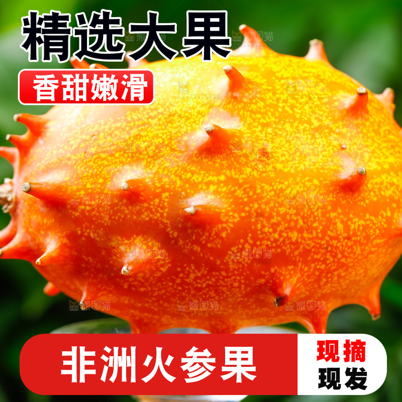 琉璃杯上放着海参果