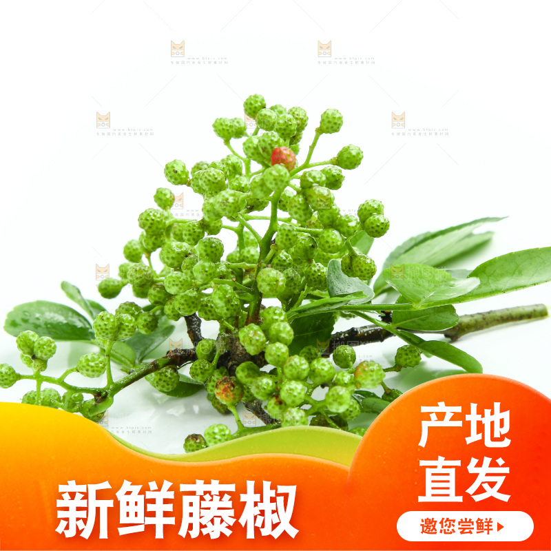 白底上摆放着藤椒