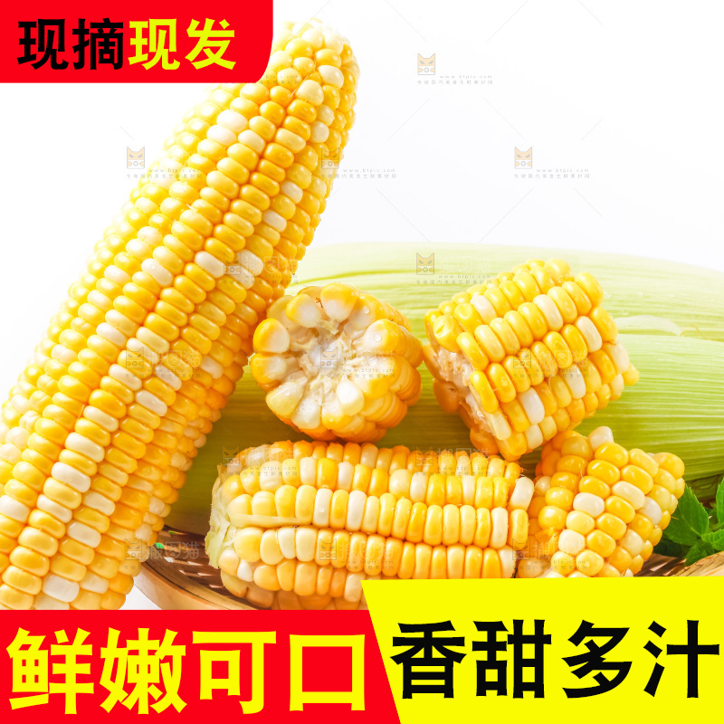 篮子里装着黄玉米