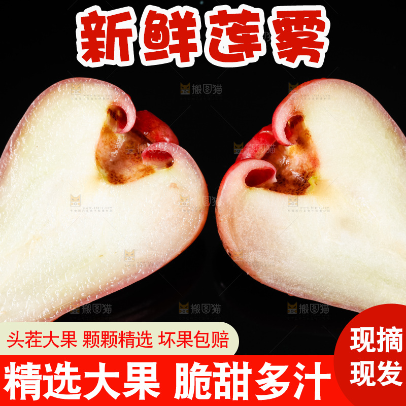 黑底上摆放着海南黑金刚莲雾