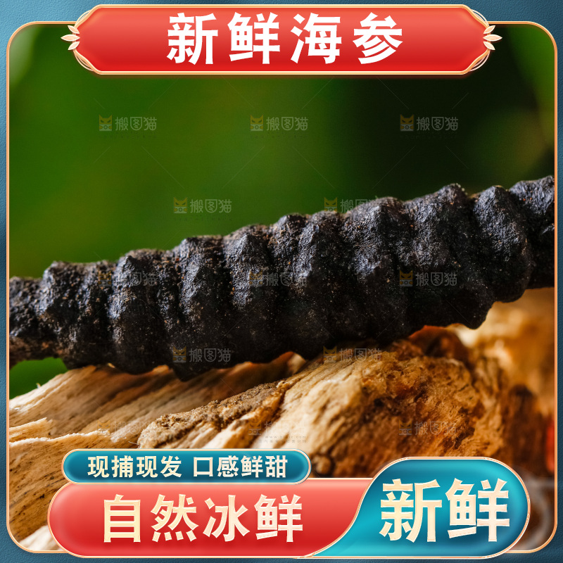木底上摆放着干海参