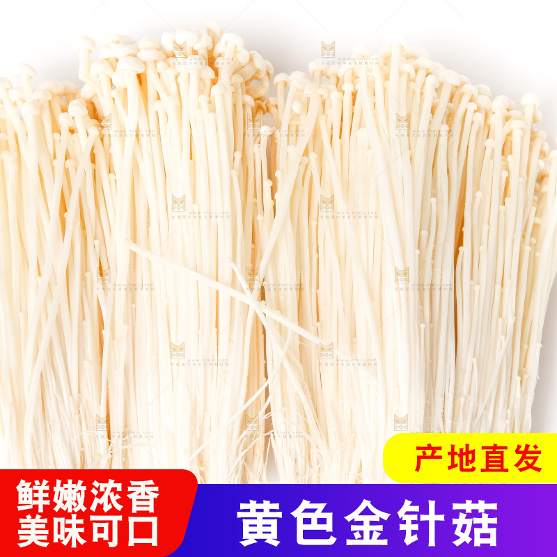 白底上摆放着金针菇