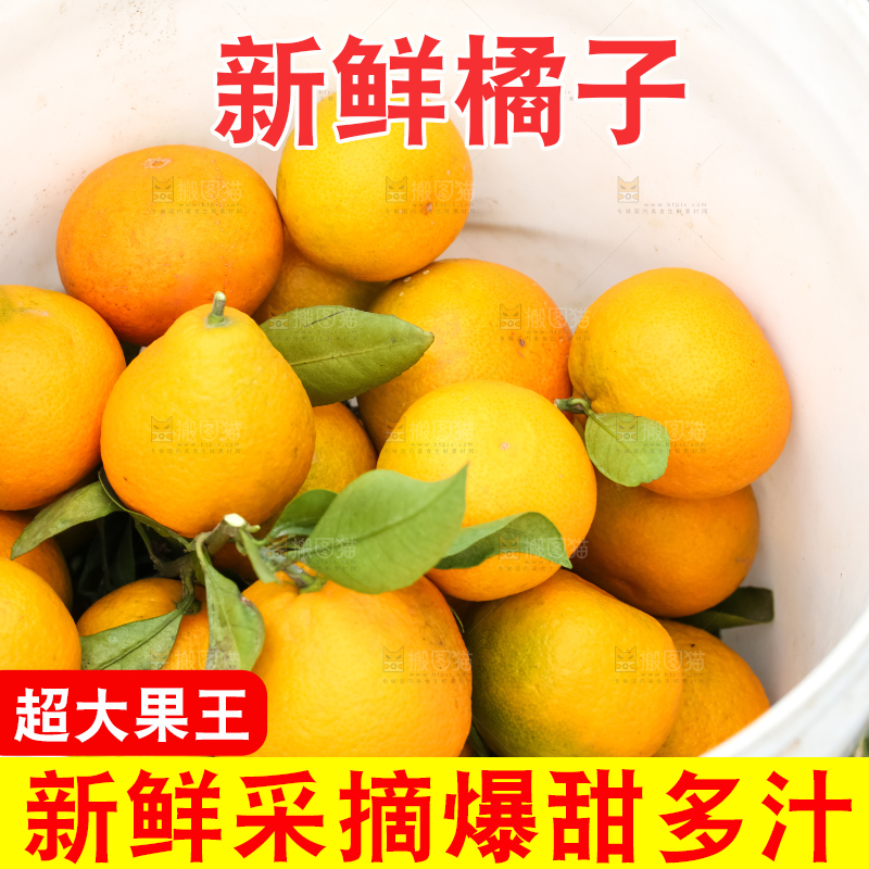 桶子里装着橘子