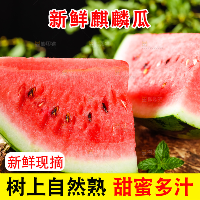 深底上摆放着8424麒麟瓜