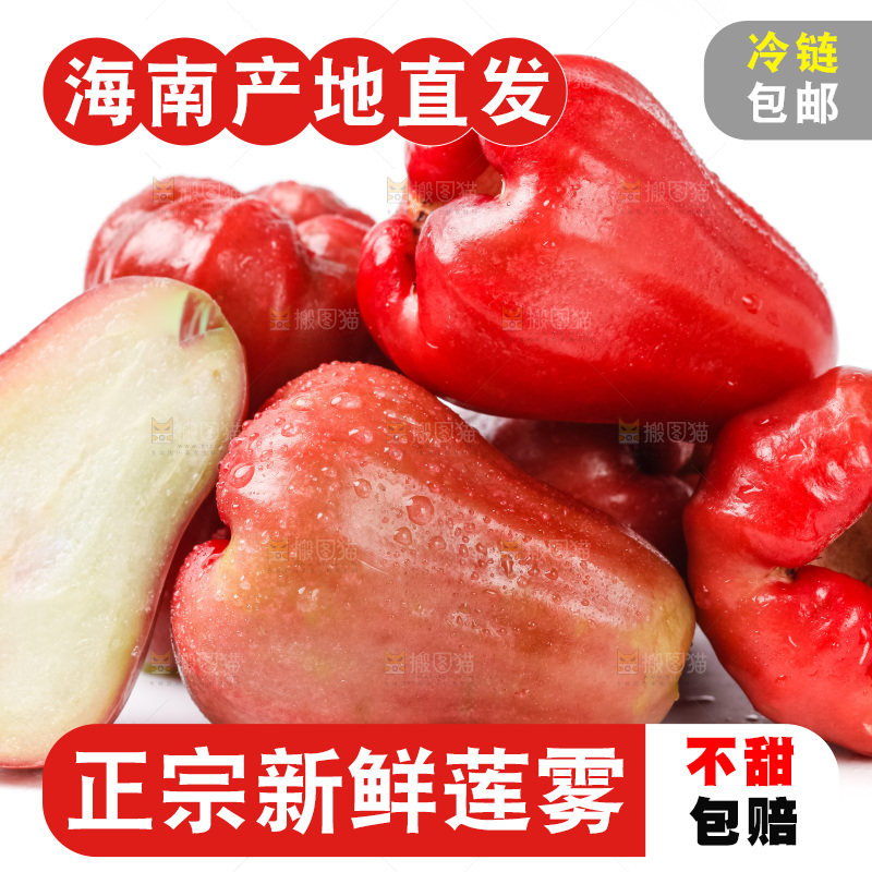 浅底上摆放着黑金刚莲雾
