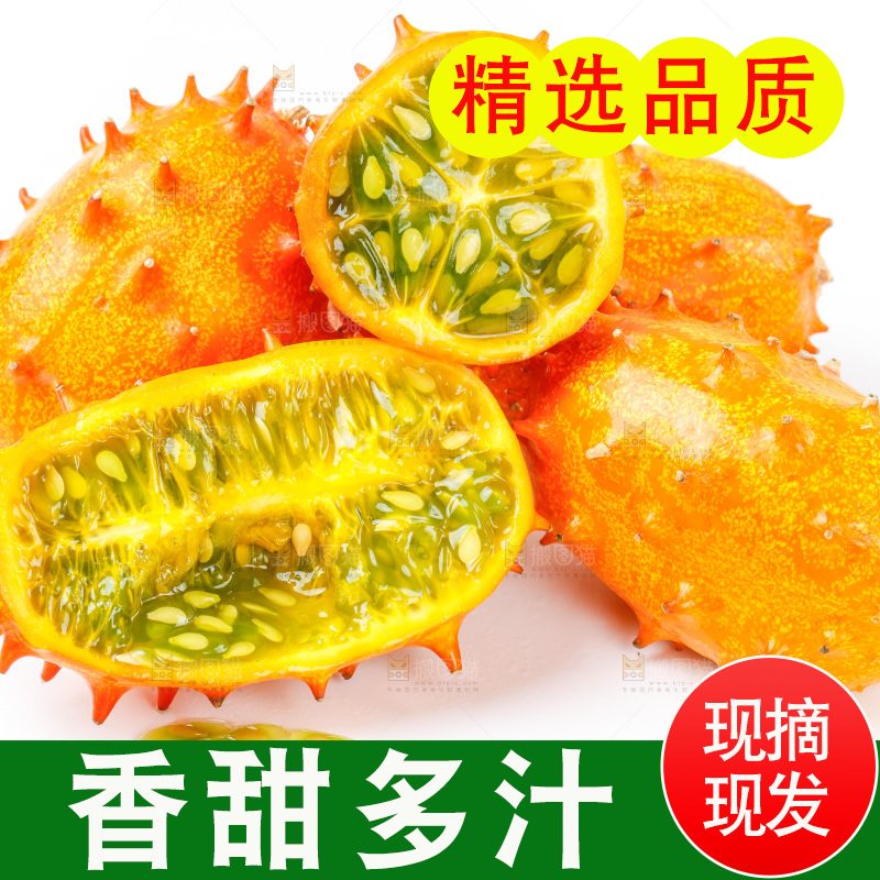 白底上放着刺角瓜