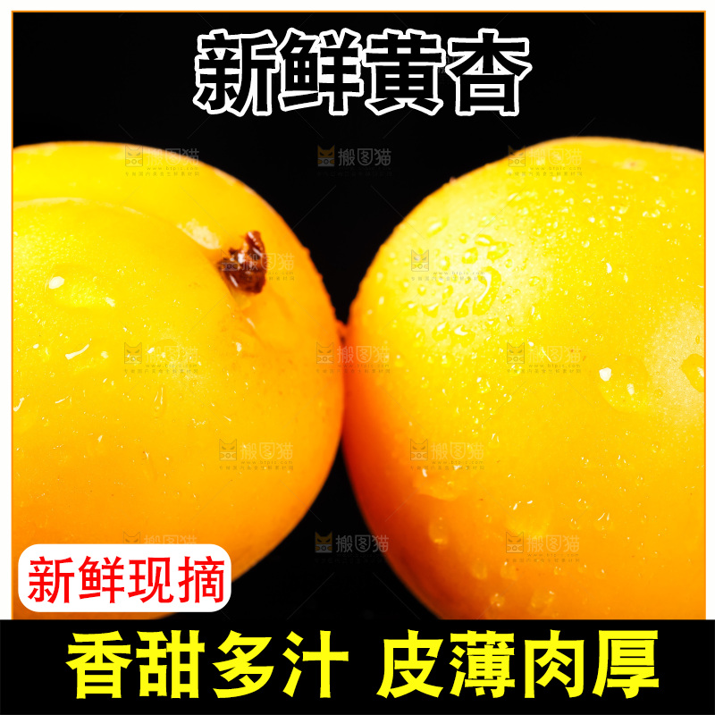 黑底上摆放着新鲜麦黄杏