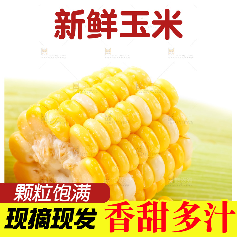 摆放着一堆的甜玉米
