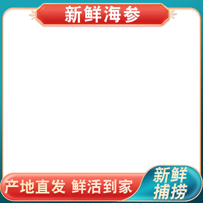 白底上放着海参