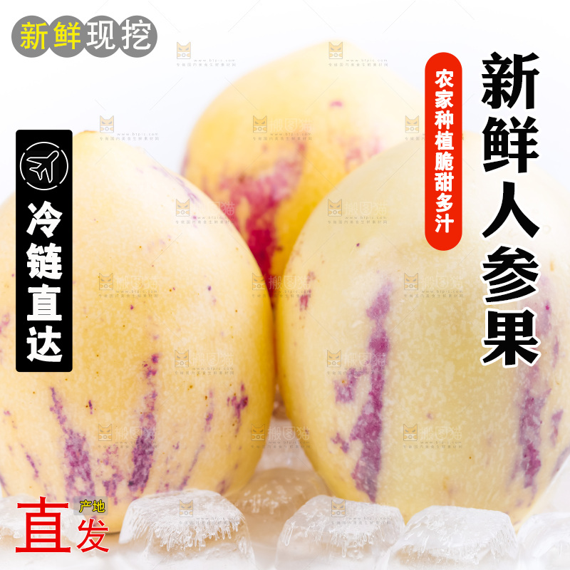 白底上摆放着甘肃民勤人参果