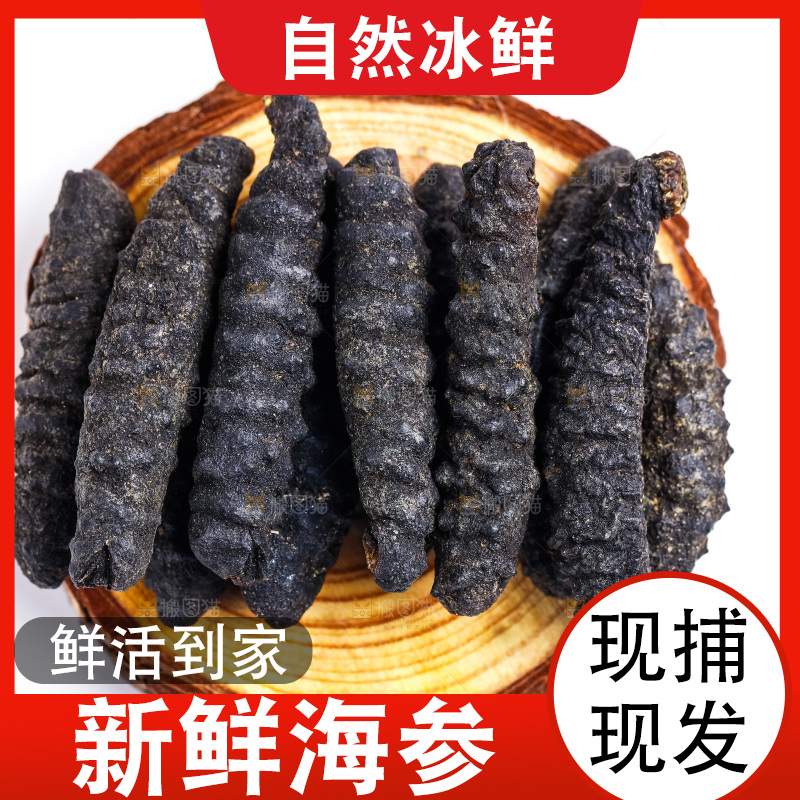 木底上放着野生海参