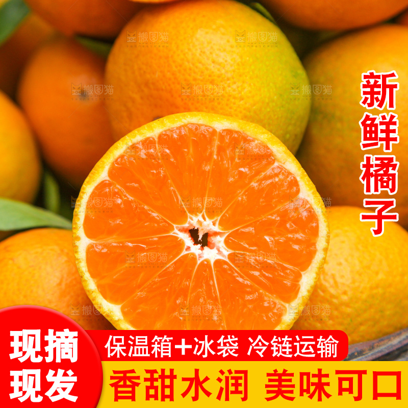 篮子里装着橘子