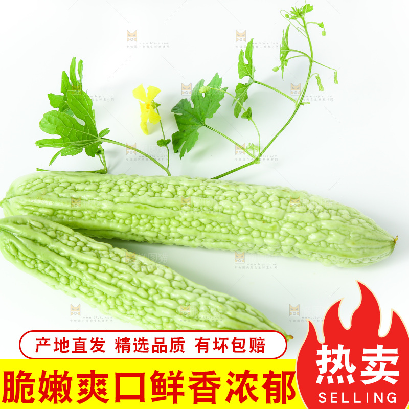 白底上放着的苦瓜