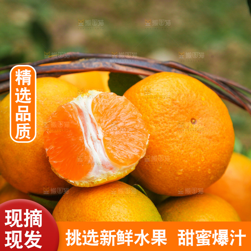 篮子里装着橘子