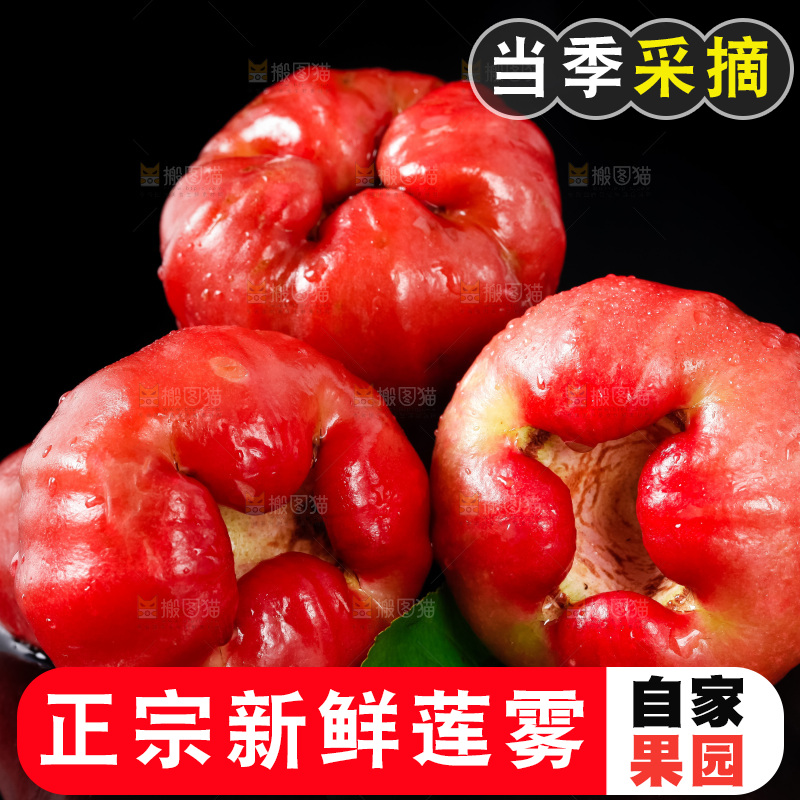 黑底上放着红宝石莲雾