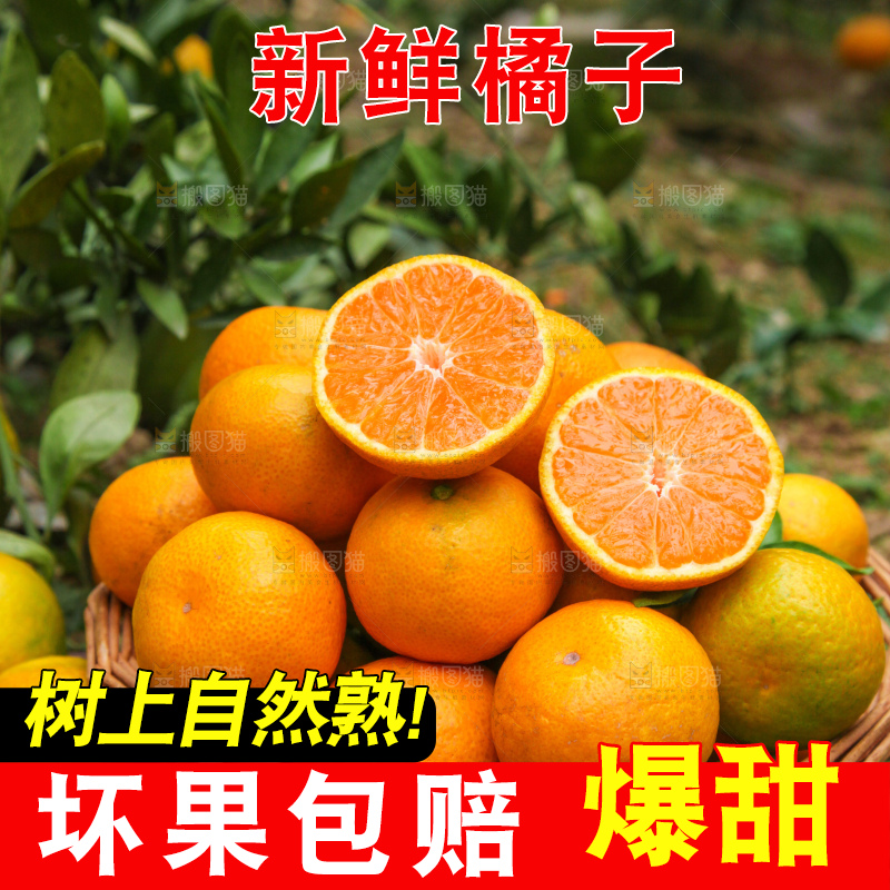 篮子里装着橘子
