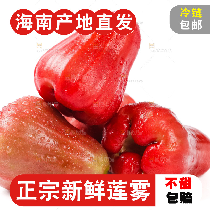 浅底上摆放着黑金刚莲雾