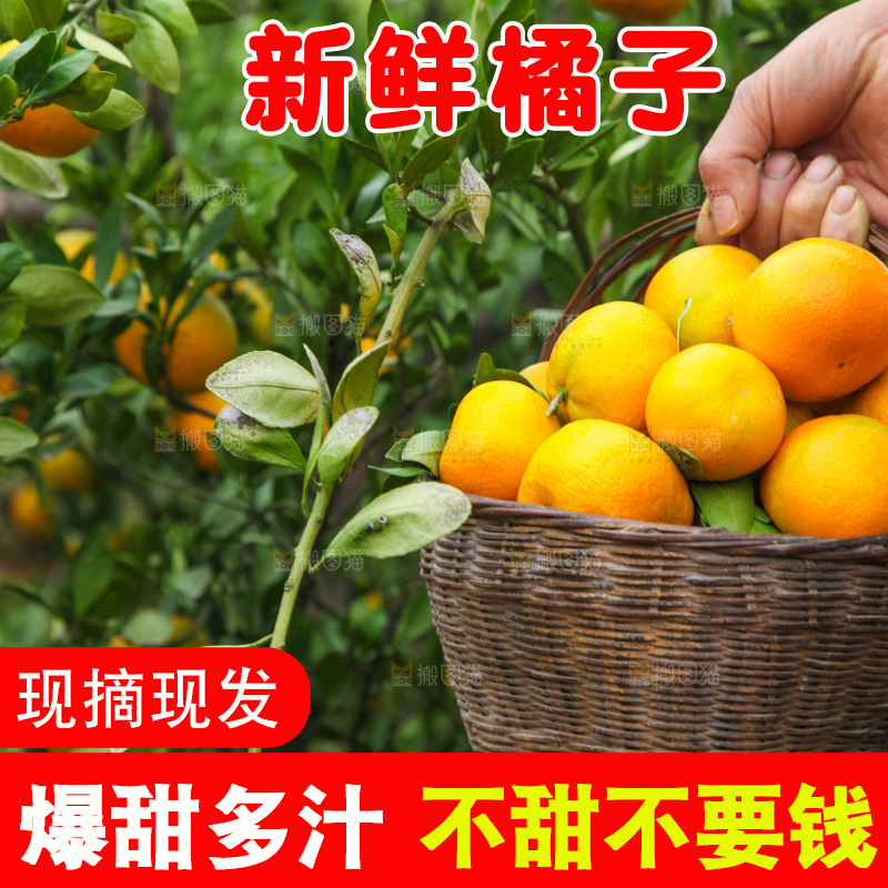 篮子里装着橘子