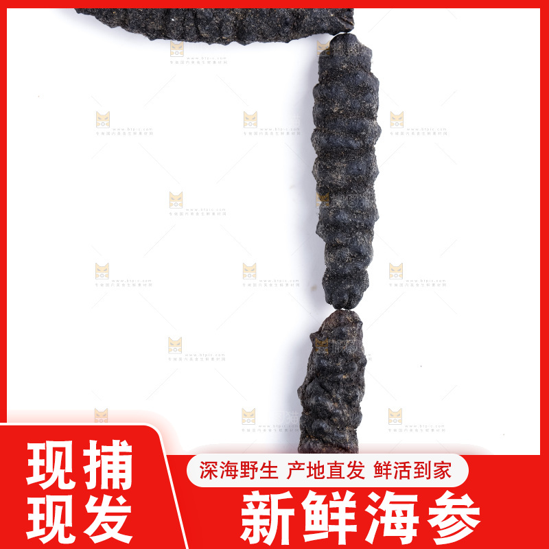 白底上放着干海参