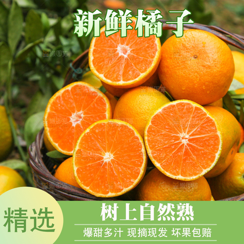 篮子里装着橘子