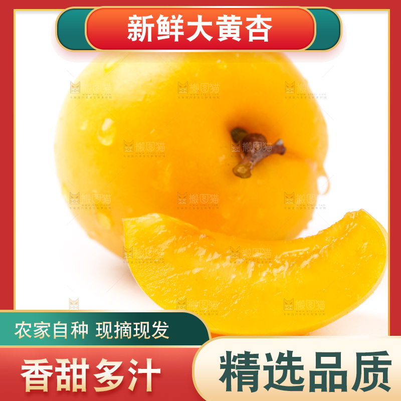 白底上摆放着麦黄杏