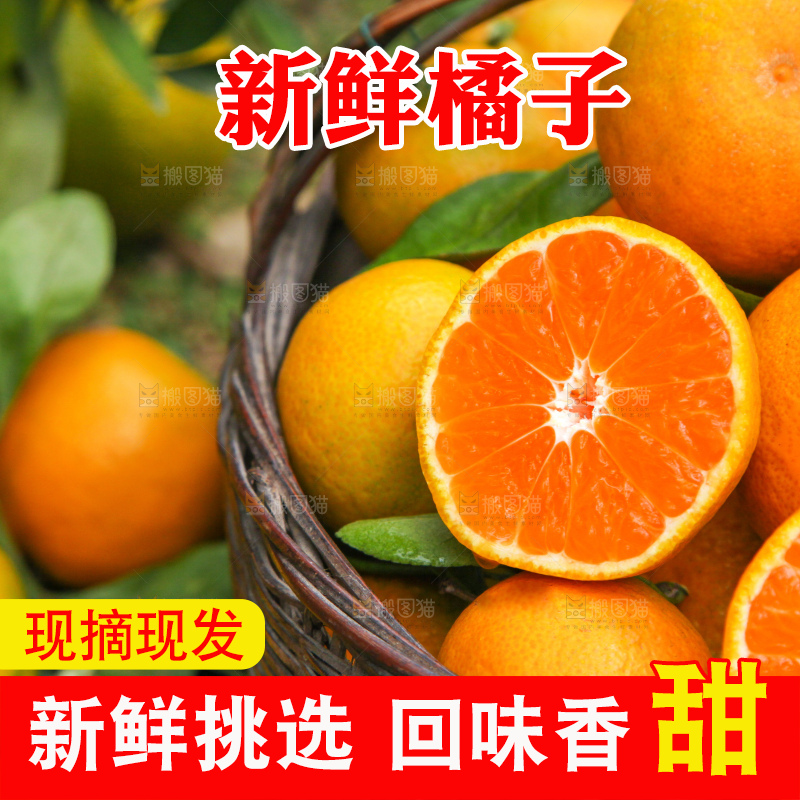 篮子里装着橘子