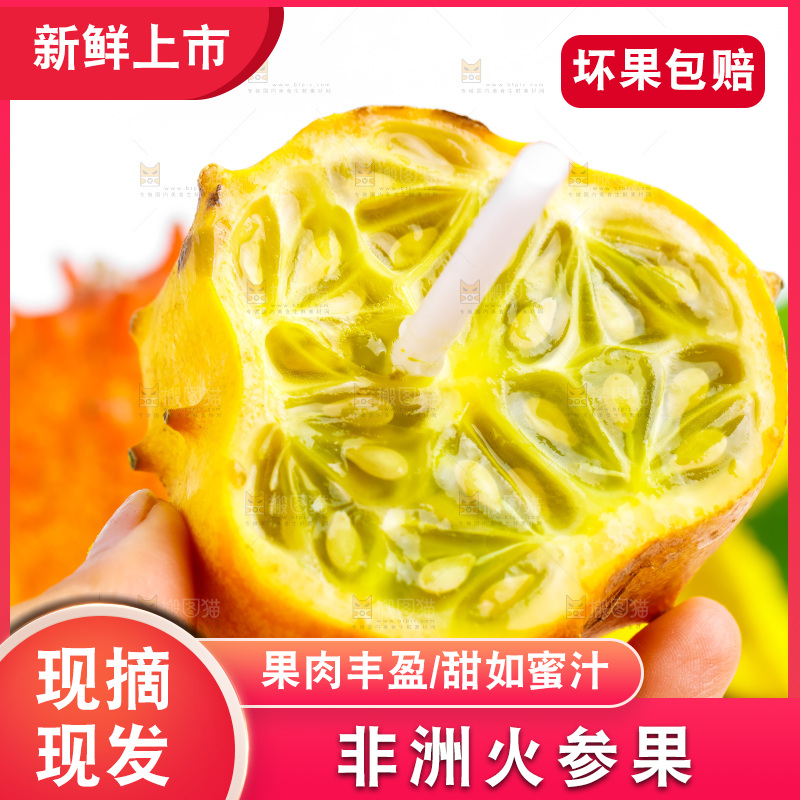 手里拿着刺角瓜