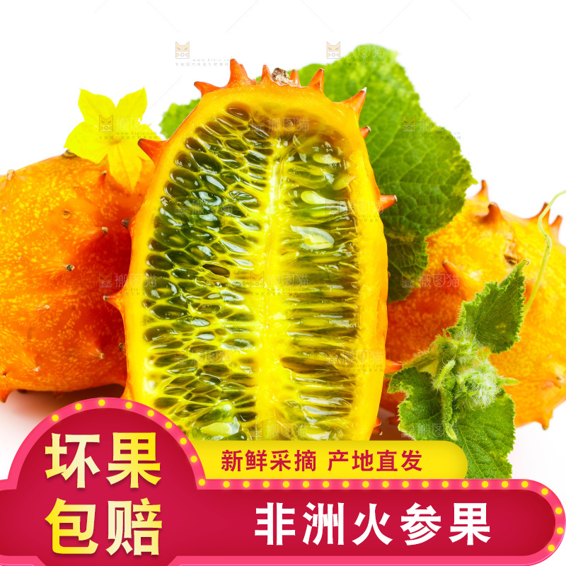白底上摆放着海参果