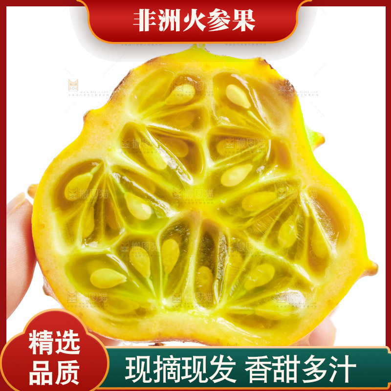 手里拿着海参果