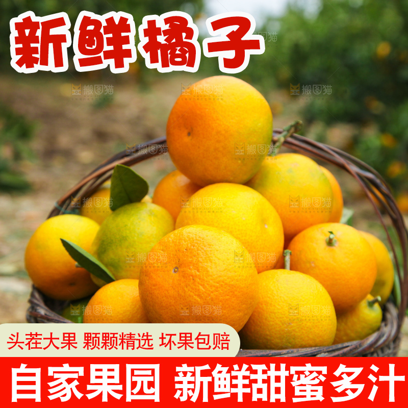 篮子里的蜜橘