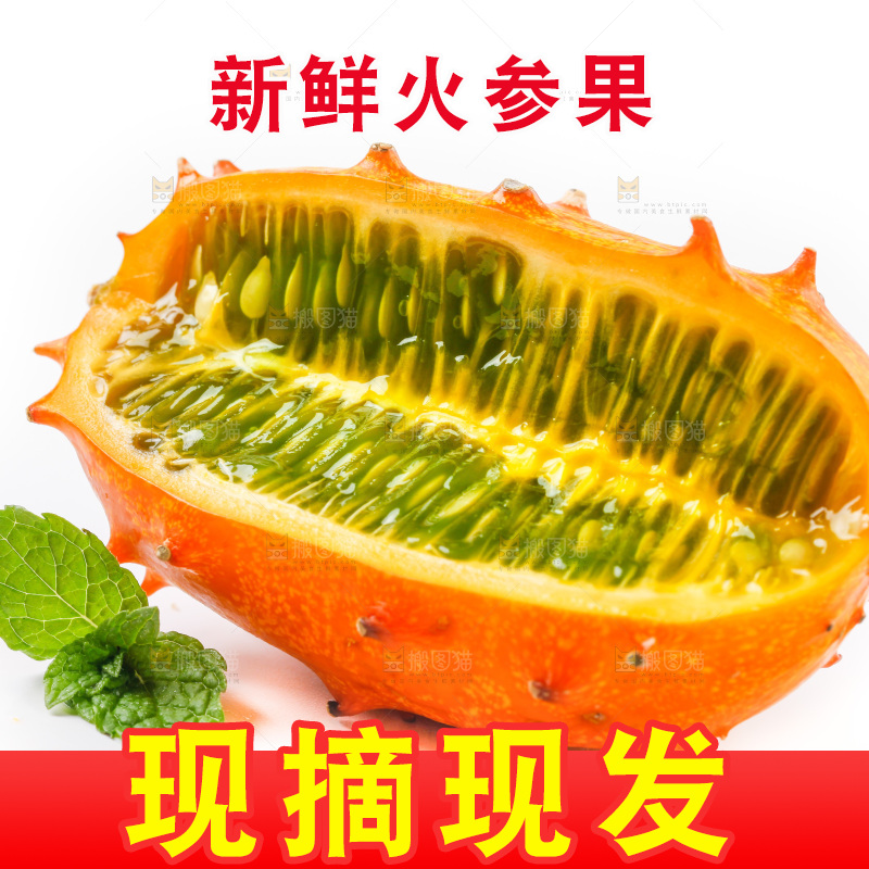 白底上摆放着刺角瓜