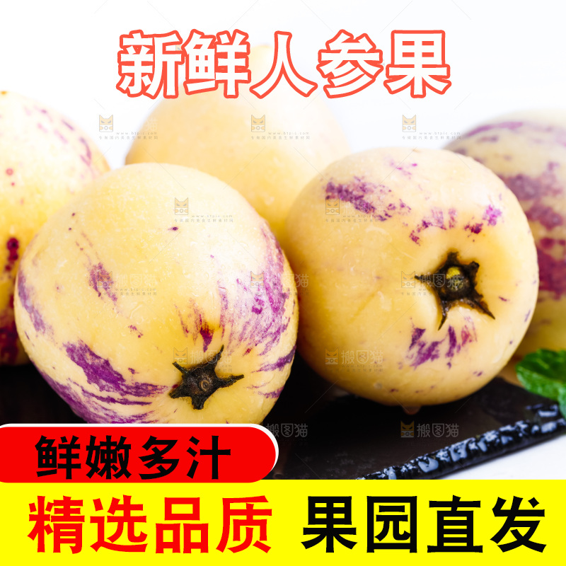 黑石板上放着新鲜人参果