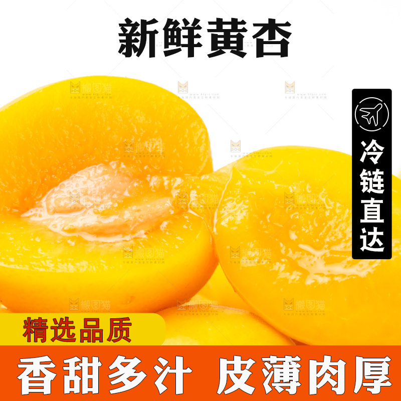 白底上放着大黄杏