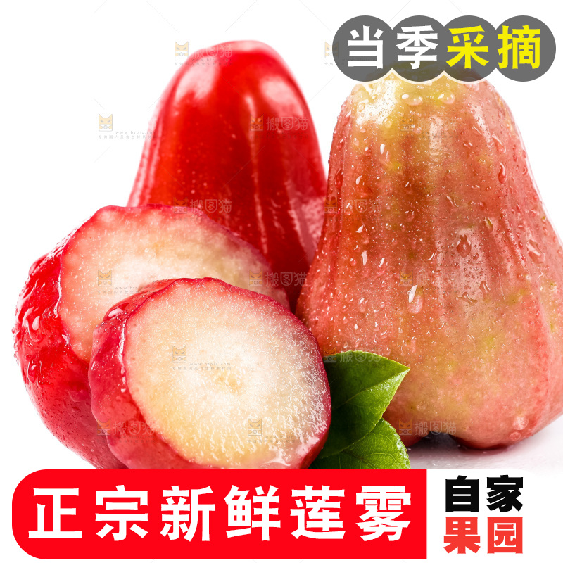 白底上摆放着海南莲雾