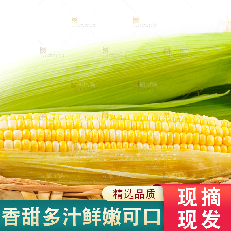 篮子里装着玉米