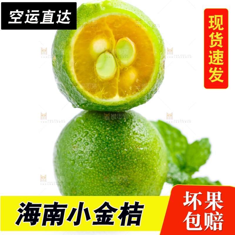 白底上摆放着海南小金桔