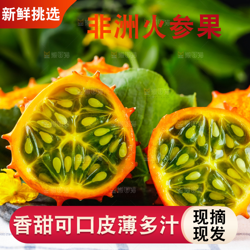 黑石板上放着刺角瓜
