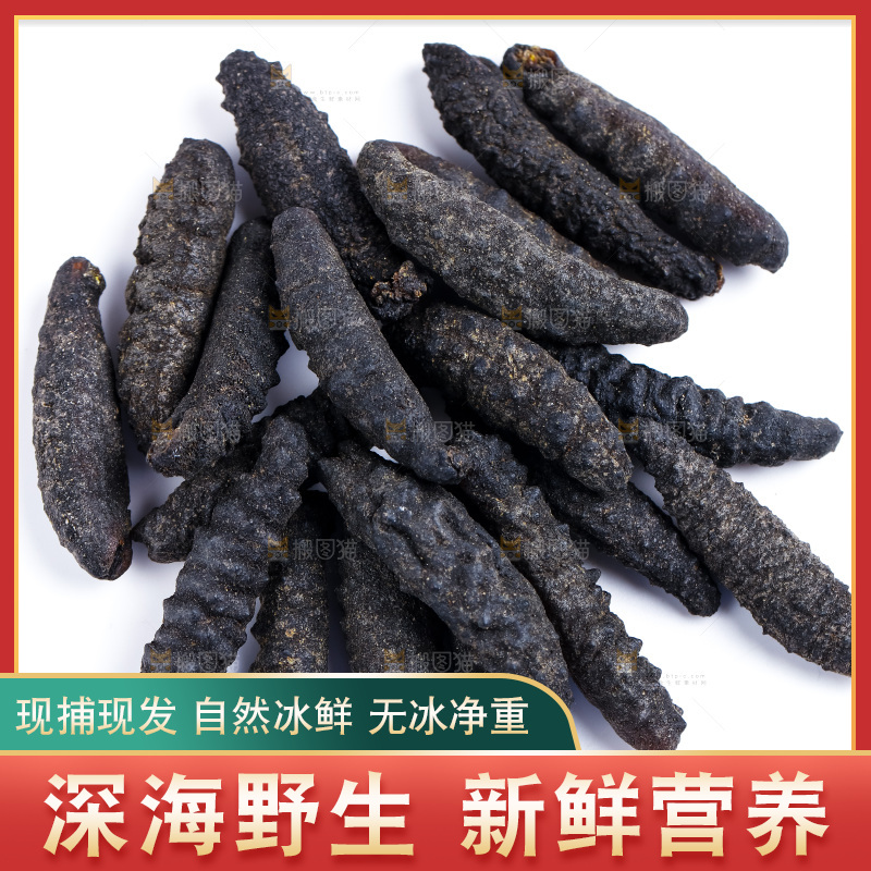 白底上摆放着刺参