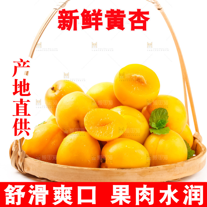 篮子里装着麦黄杏