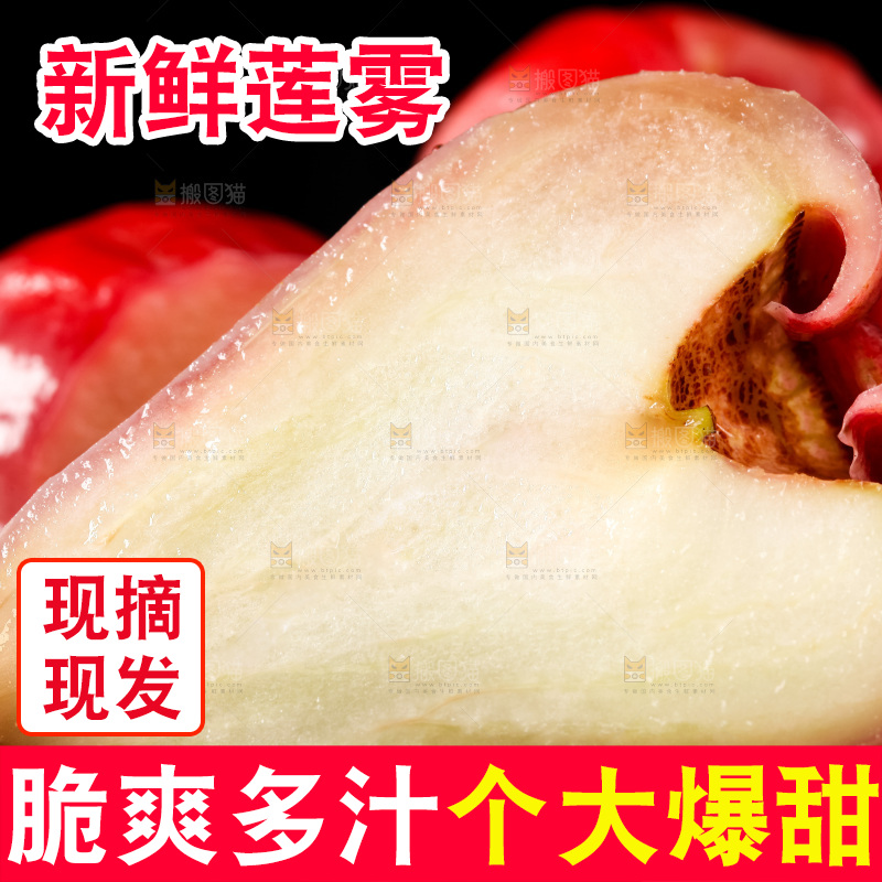 手里拿着黑金刚莲雾