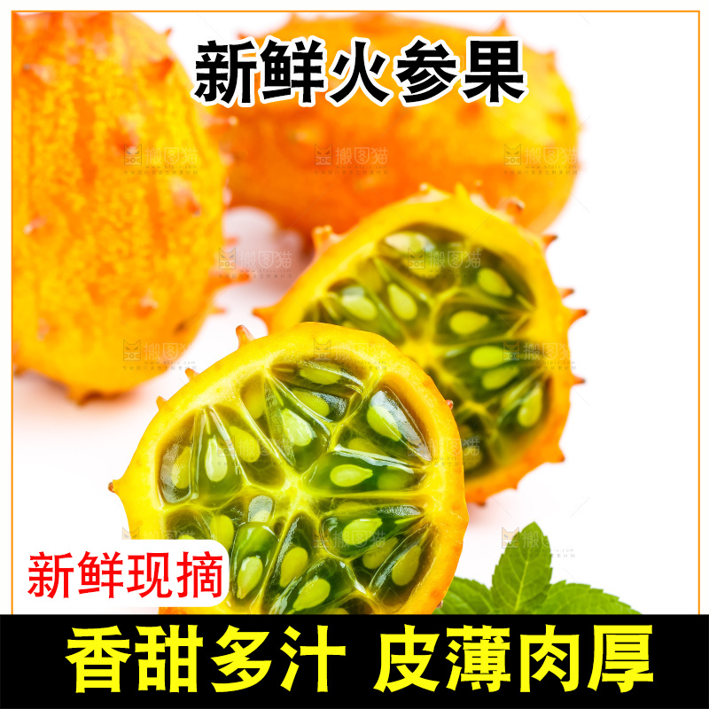 白底上摆放着刺角瓜
