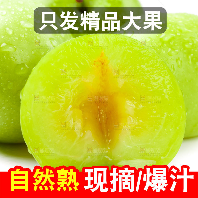 白底上摆放着李子