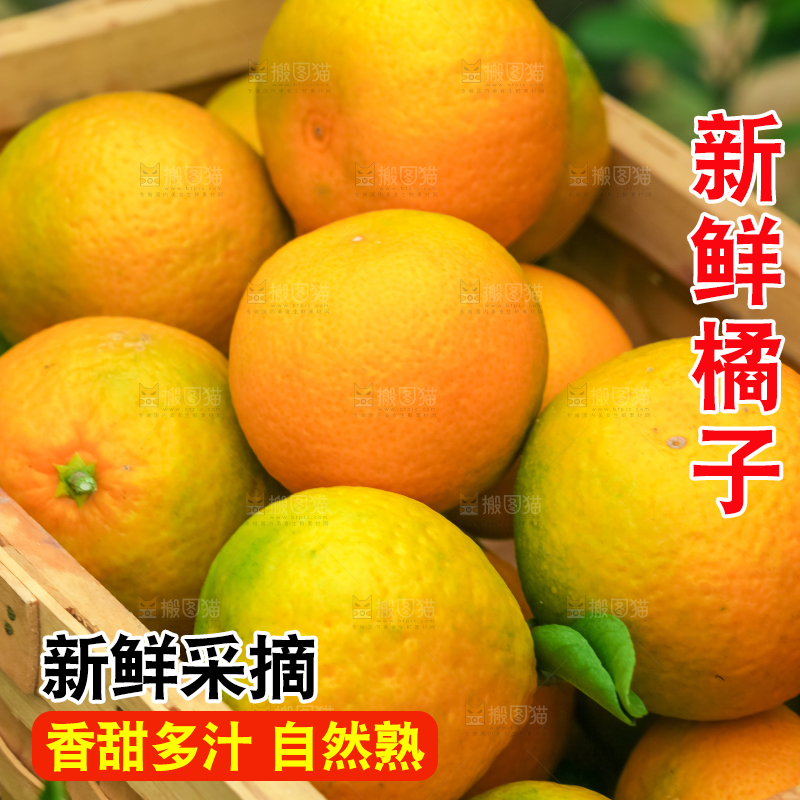 篮子里装着蜜橘
