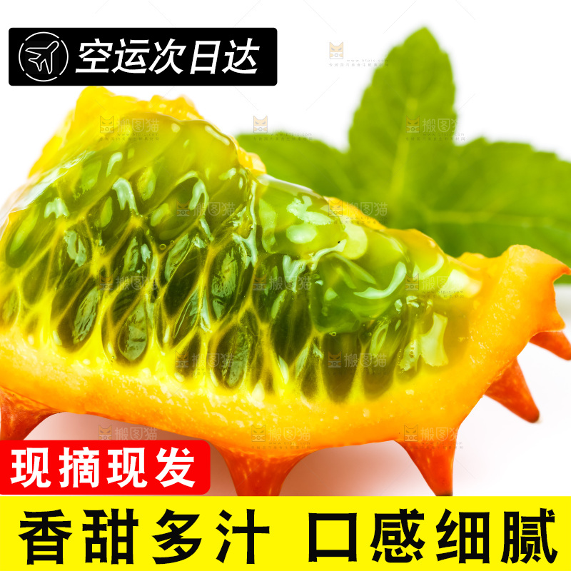 白底上的刺角瓜