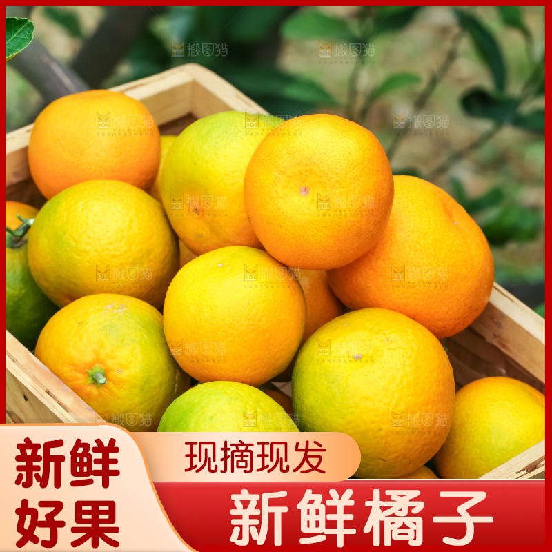 篮子里装着蜜橘