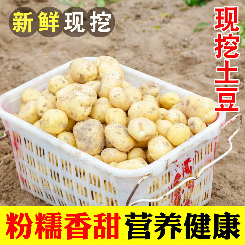 框子里装着黄心土豆