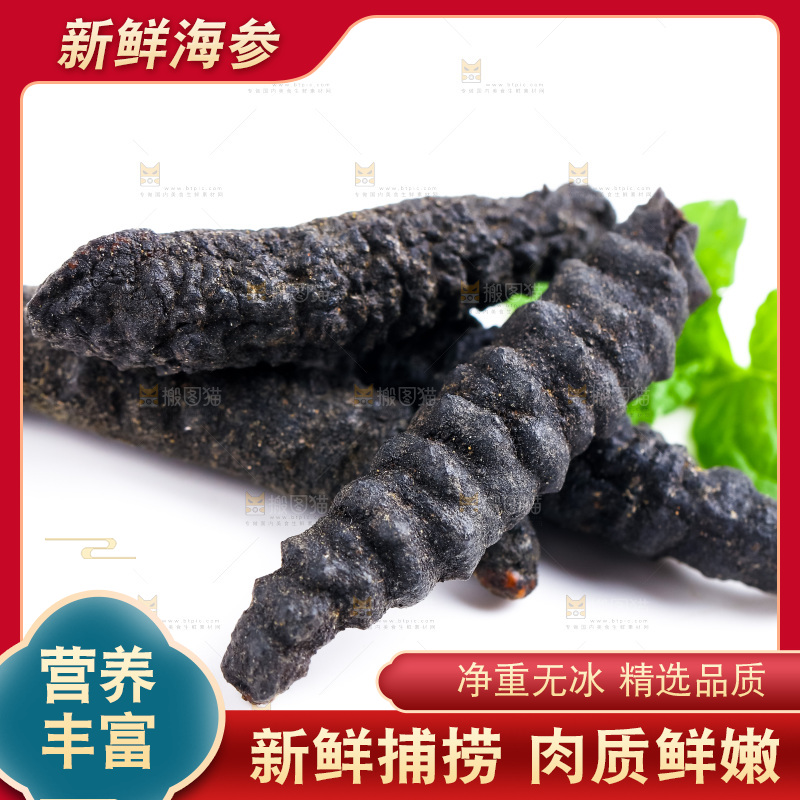 白底上摆放着海参